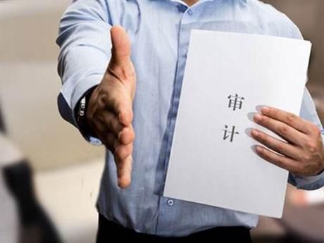 清產(chǎn)核資及其他專項(xiàng)審計(jì)